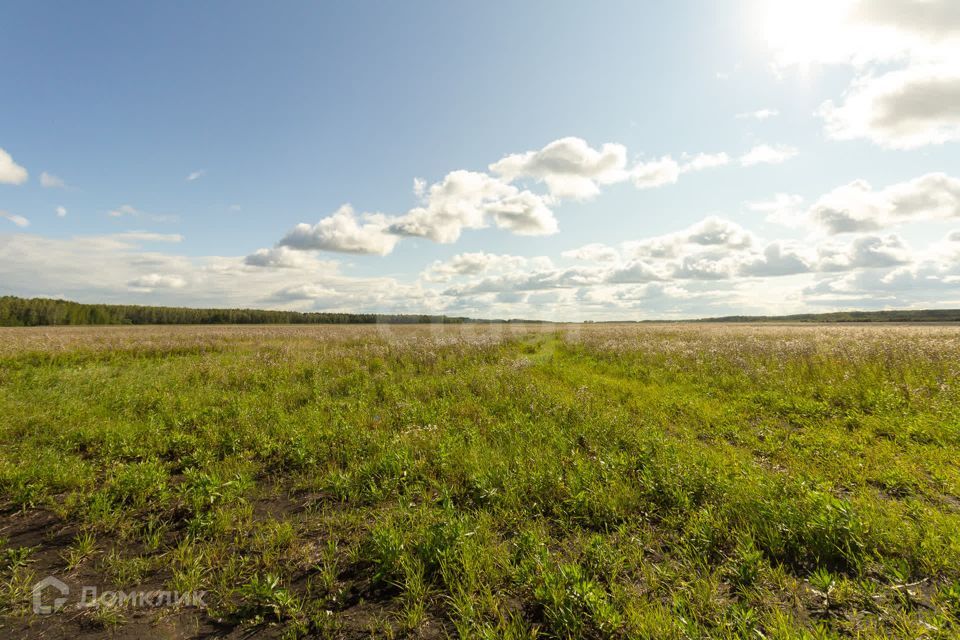 земля р-н Тюменский село Кулига фото 10