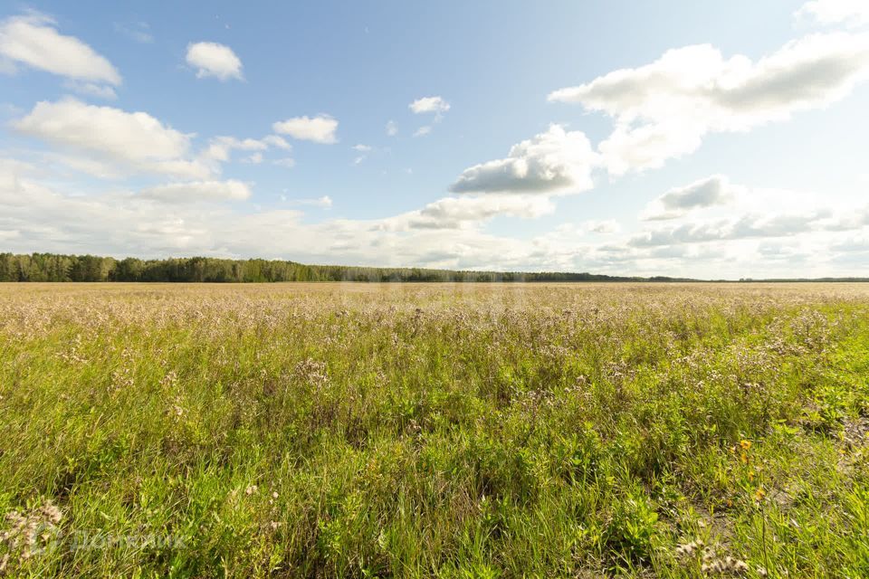 земля р-н Тюменский село Кулига фото 9