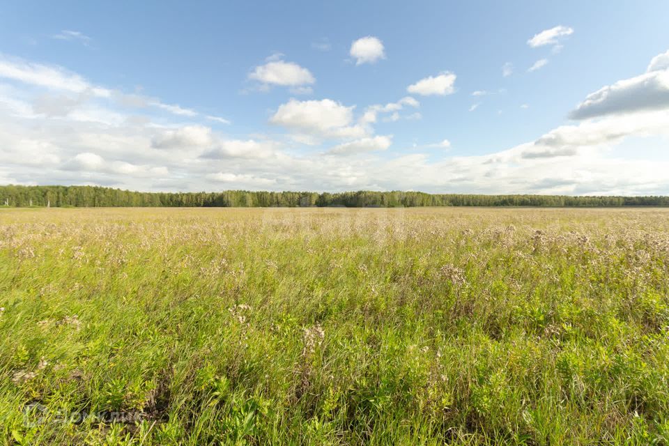 земля р-н Тюменский село Кулига фото 10