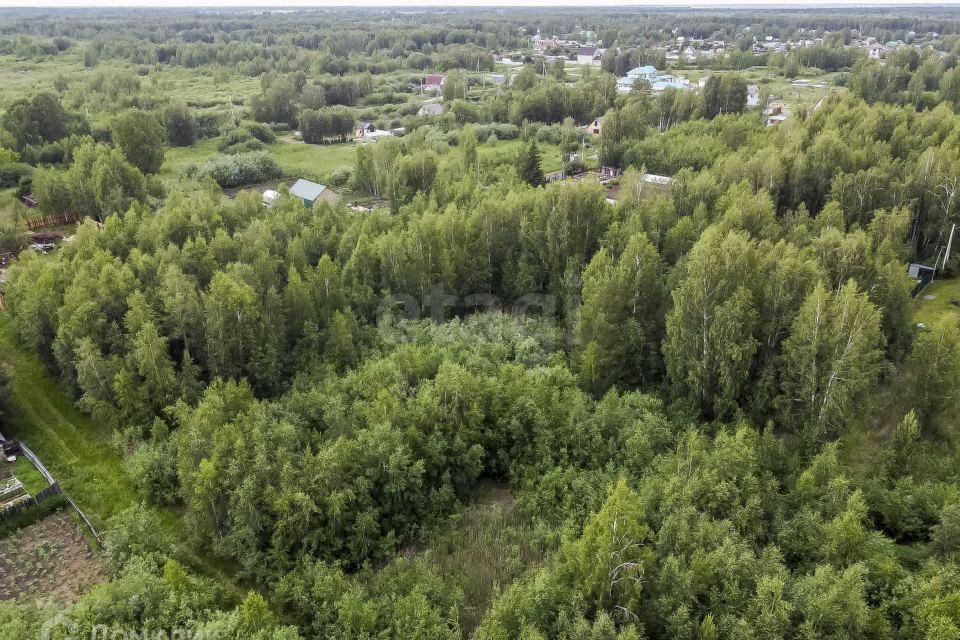 земля г Тюмень городской округ Тюмень, садовое товарищество Рябинка-2 фото 7