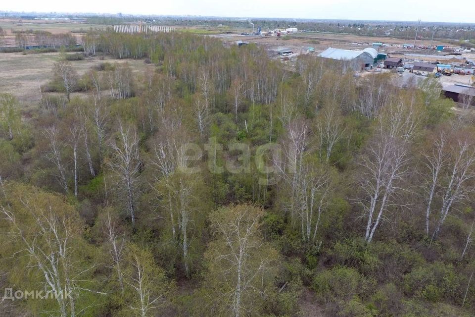 земля г Тюмень городской округ Тюмень, Исторический центр Тюмени фото 8