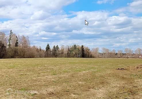 земля городской округ Пушкинский д Василёво Коттеджный посёлок Калистово фото 2