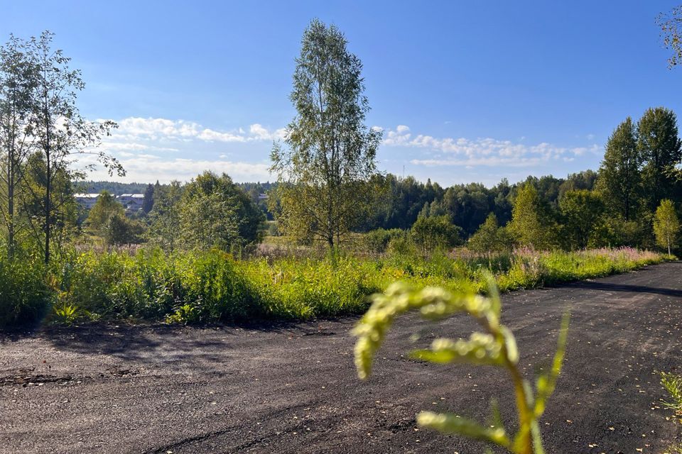 земля городской округ Дмитровский фото 5