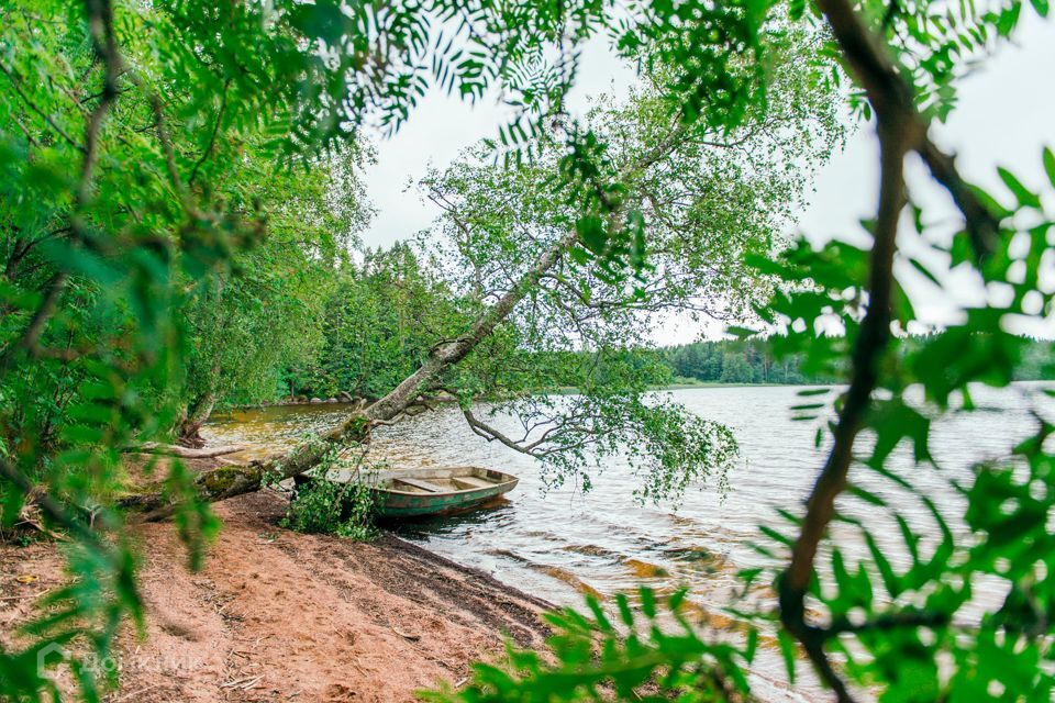 земля р-н Выборгский фото 1