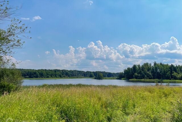 р-н Приозерский фото