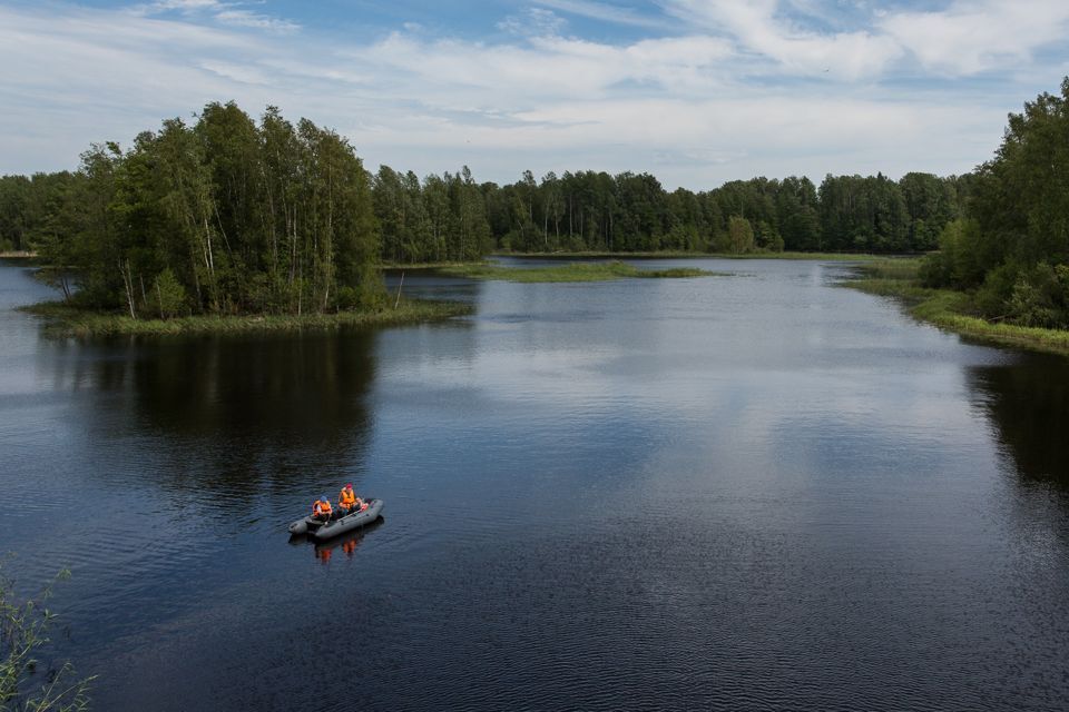 земля р-н Приозерский Ромашкинское сельское поселение фото 9