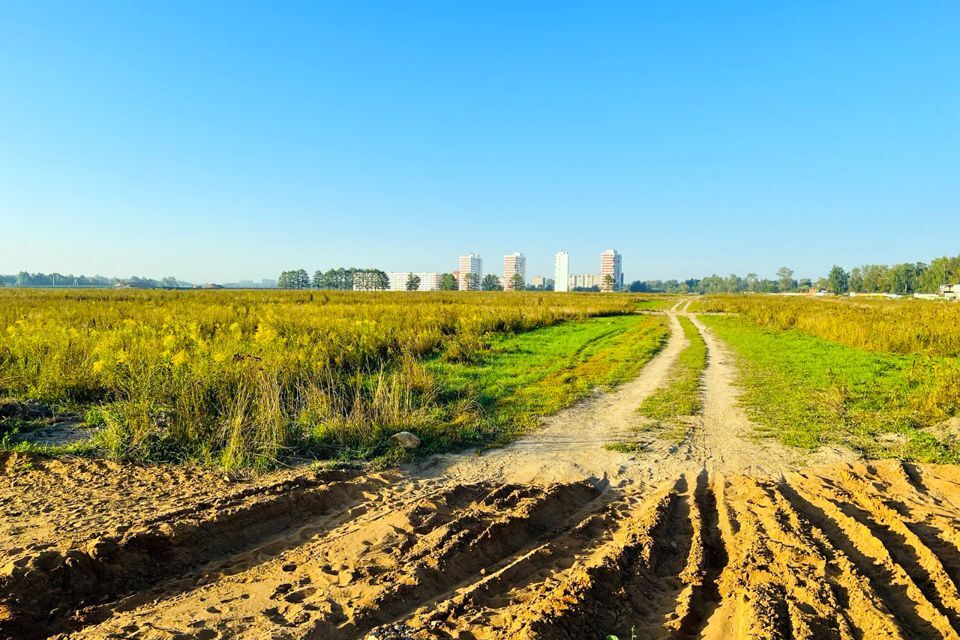 земля городской округ Пушкинский фото 6