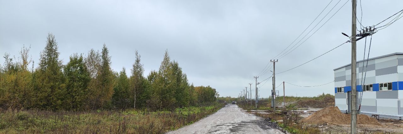 офис р-н Тосненский п Фёдоровское ул Деловая Федоровское городской поселок фото 1