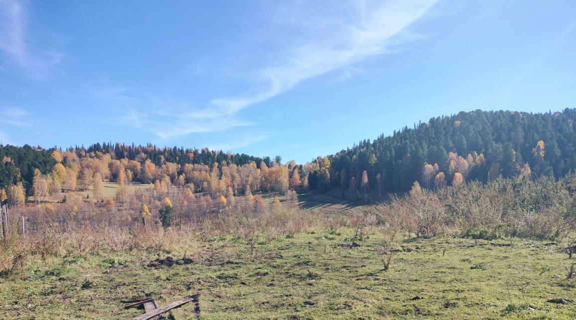 земля р-н Чемальский п Верх-Анос ул Центральная фото 2