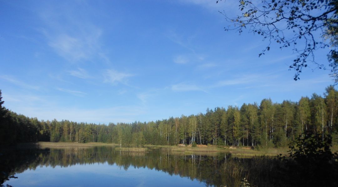 земля р-н Всеволожский Рахьинское городское поселение, Гладкое-Рахья кп фото 9