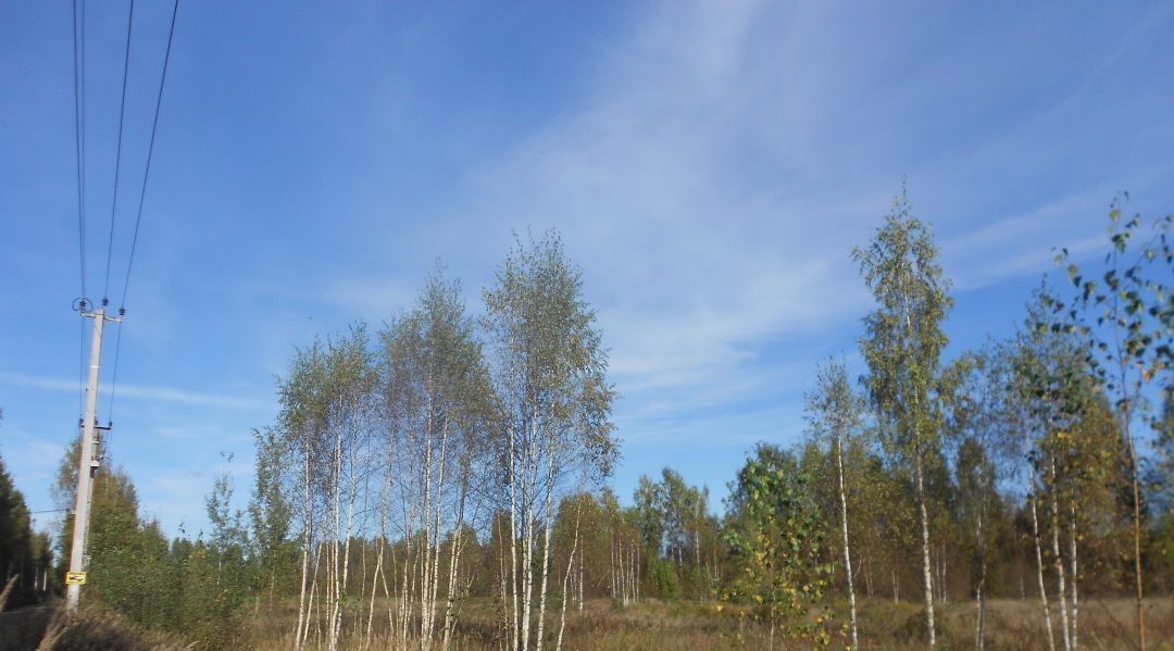 земля р-н Всеволожский Рахьинское городское поселение, Гладкое-Рахья кп фото 6