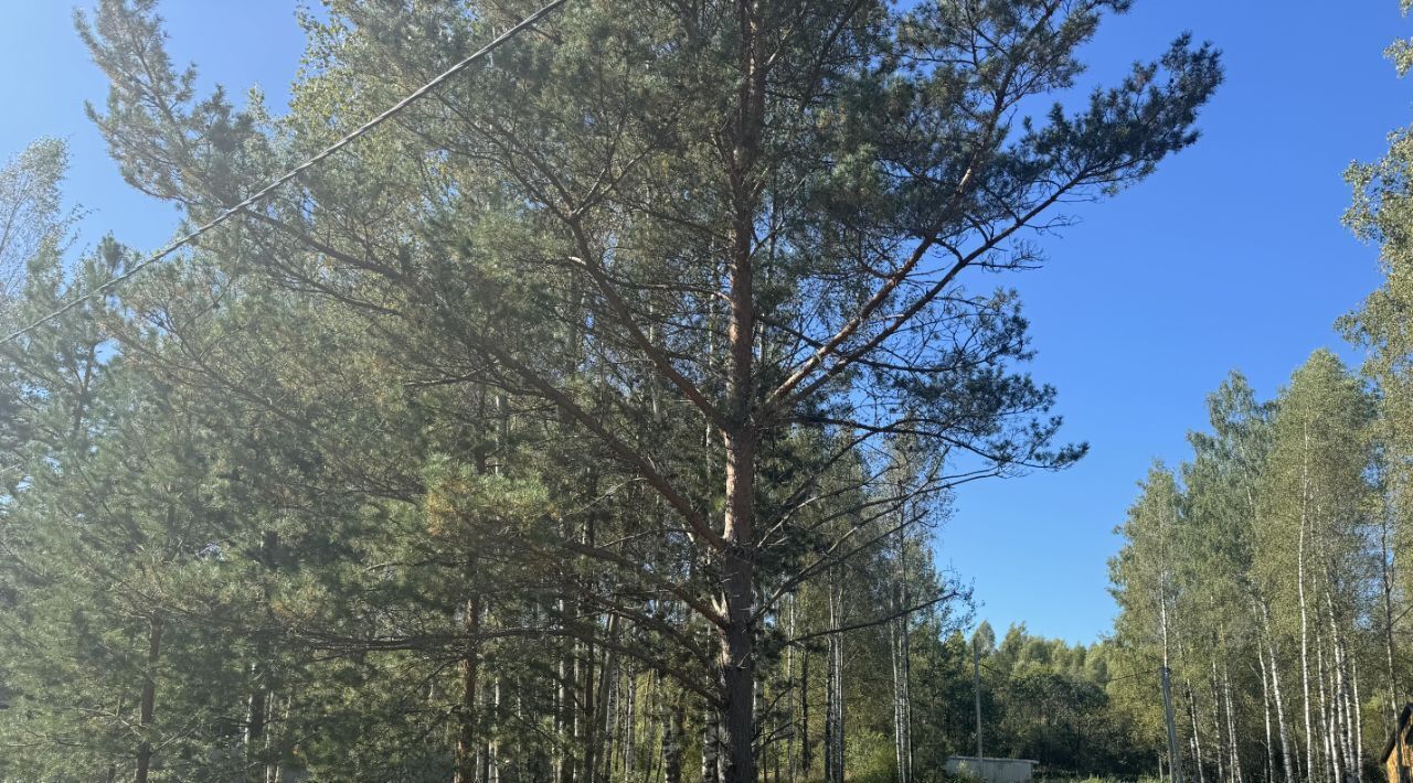 земля городской округ Талдомский д Гусёнки ул. Набережная фото 1