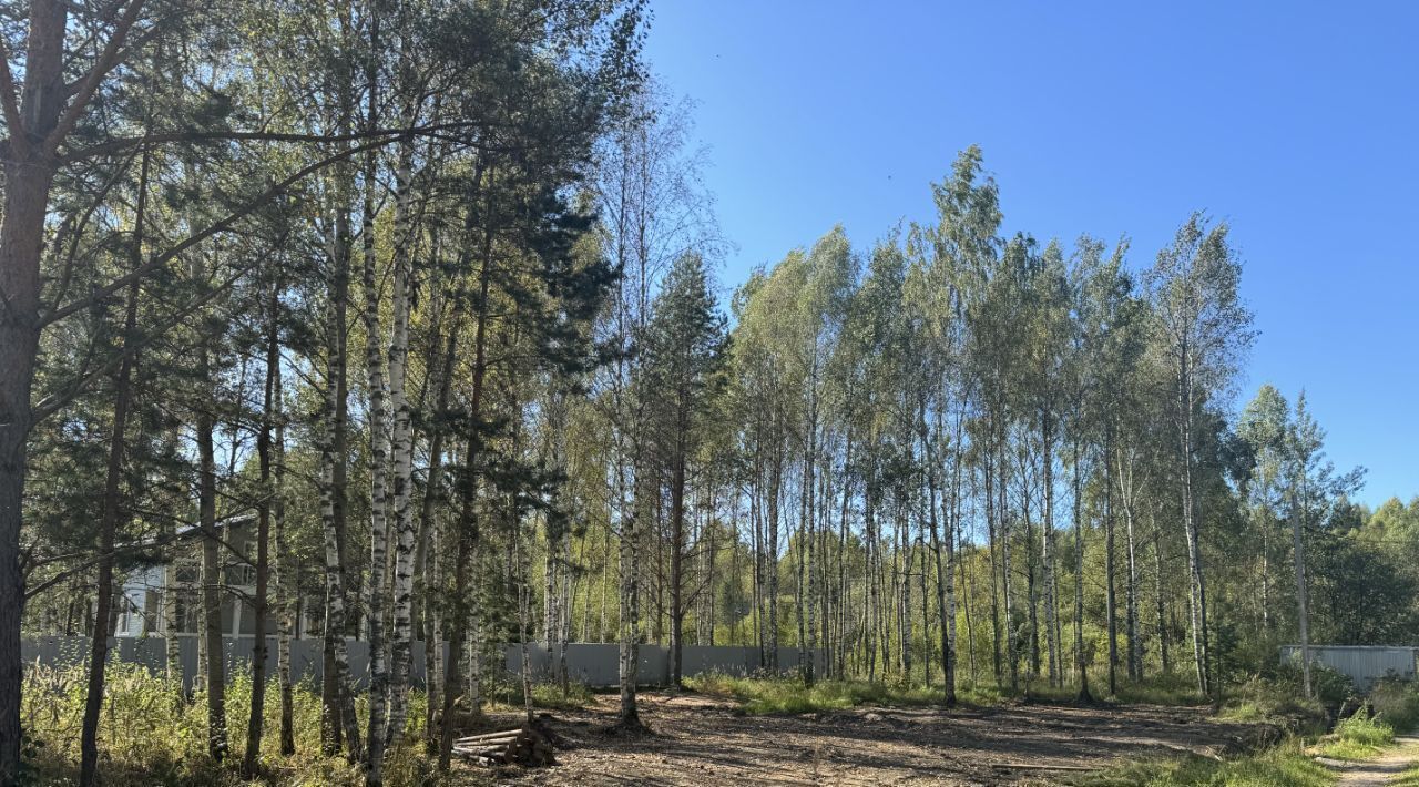 земля городской округ Талдомский д Гусёнки ул. Набережная фото 2