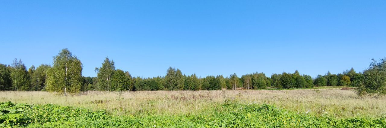 земля городской округ Сергиево-Посадский д Дубининское фото 10