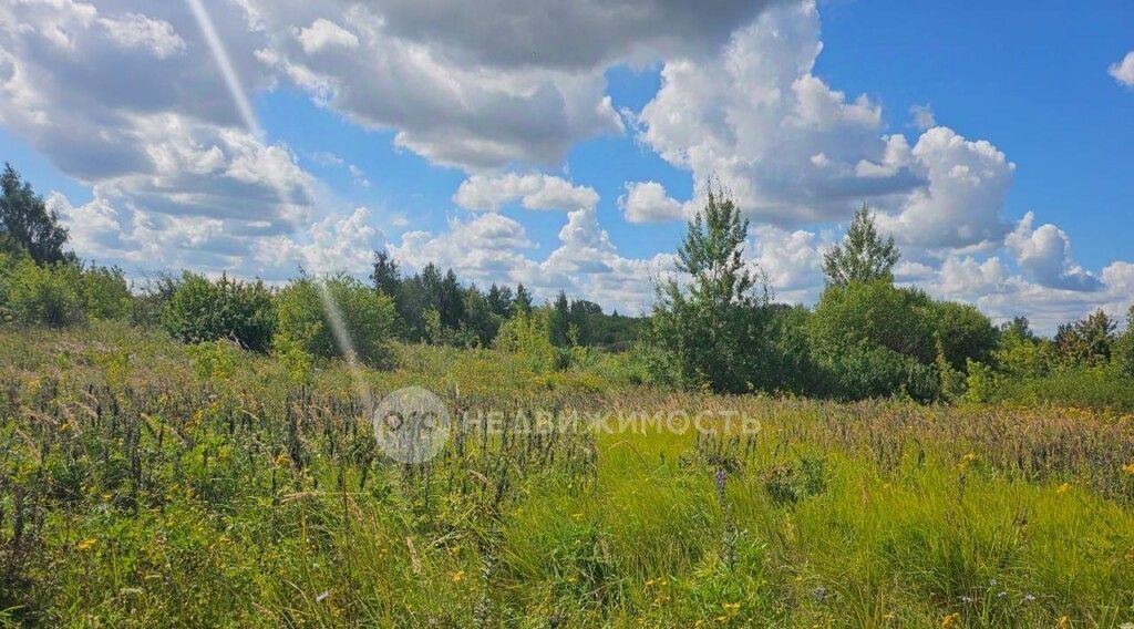 земля р-н Рыбновский д Чемрово тер Колхозник Ходынинское с/пос, садоводческое товарищество фото 5