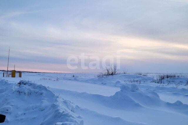 ул Центральная фото