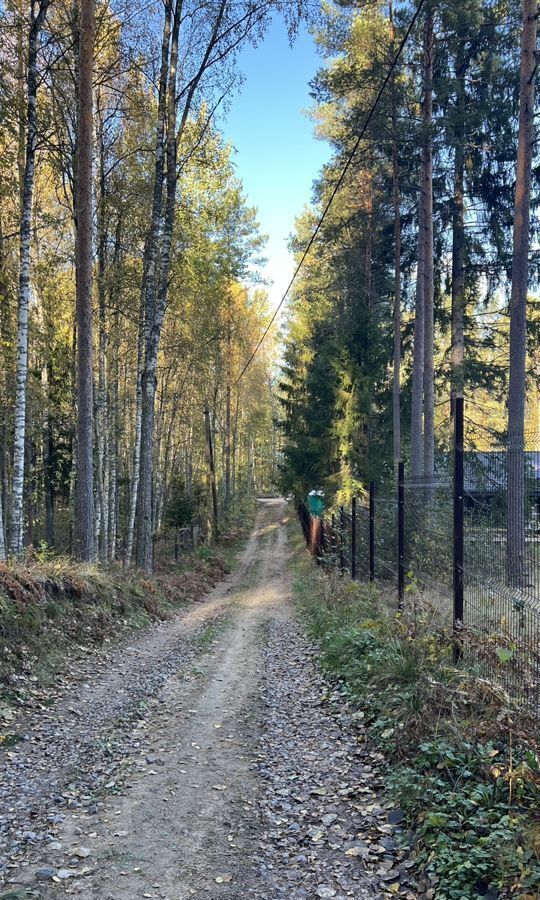 земля р-н Выборгский п Ганино Выборгское шоссе, 9773 км, Рощинское городское поселение, Кирпичное фото 6