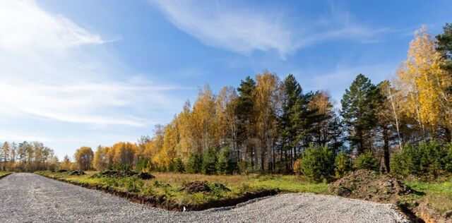 р-н Тюменский Рублевская слобода кп фото