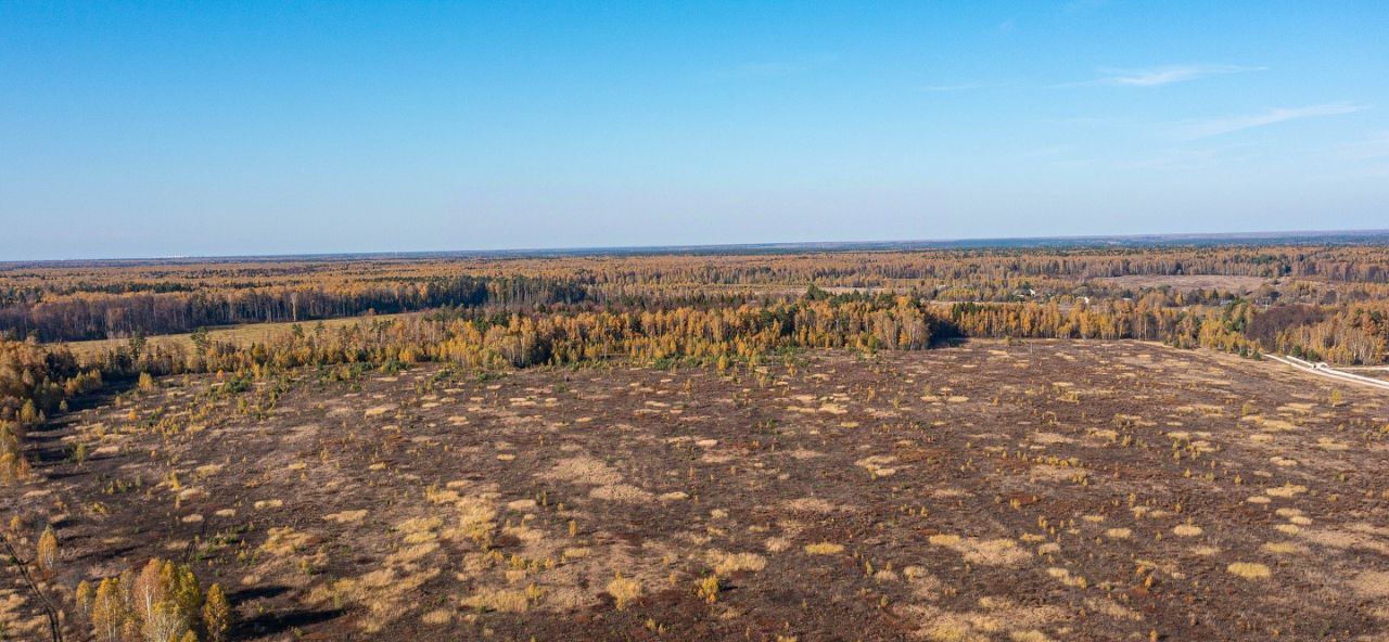 земля городской округ Ступино с Починки фото 5