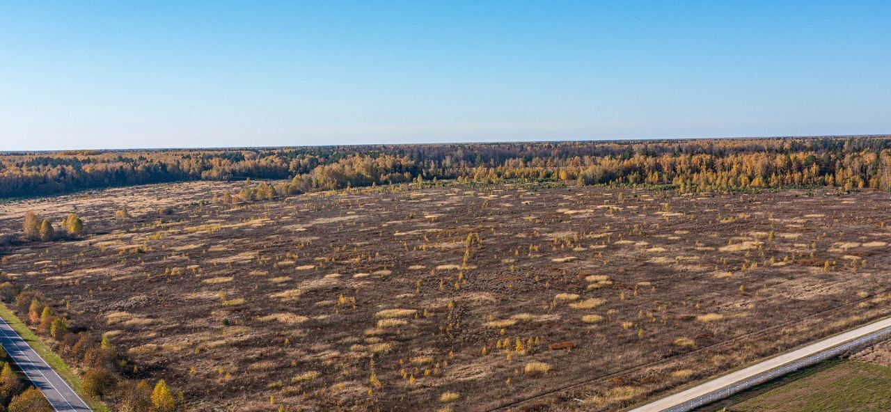 земля городской округ Ступино с Починки фото 5