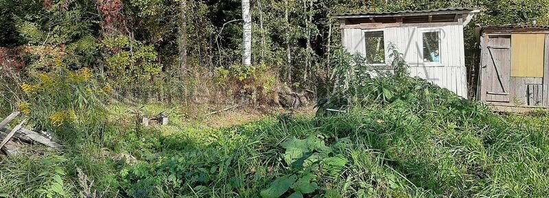 земля р-н Всеволожский снт Черная речка Свердловское городское поселение, Проспект Большевиков, садоводческий массив Северная Самарка, 171 фото 6