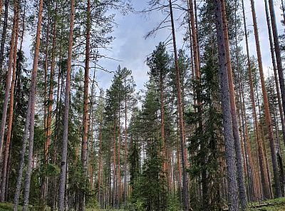 квартира г Люберцы Красково дп, ул. Островского, 2, Жулебино фото 4