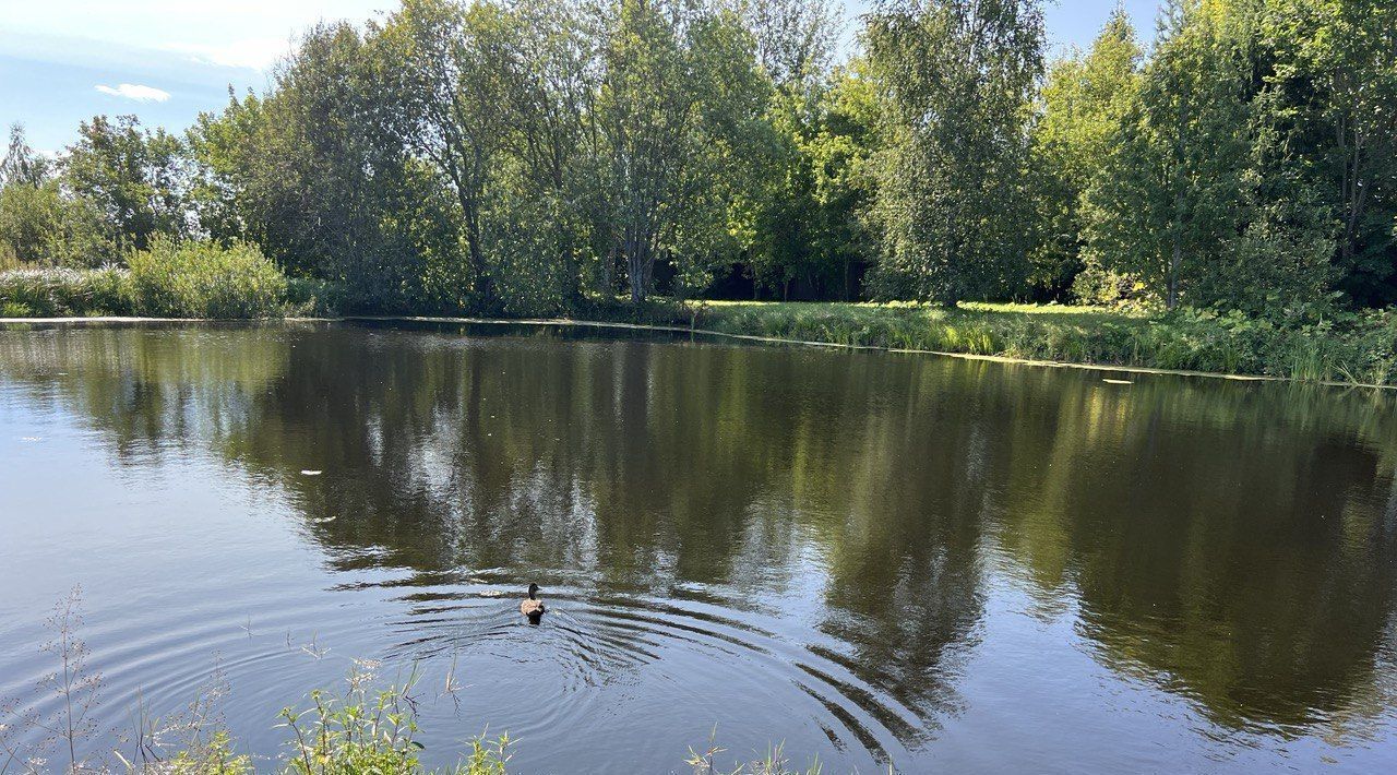 земля городской округ Истра д Ремянники ул Ореховая фото 3