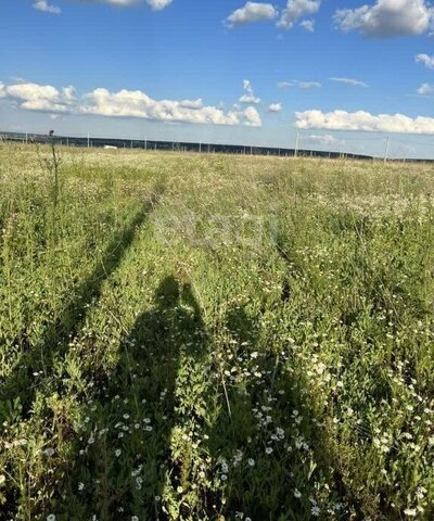 р-н Советский Подклетное ул Дачная фото