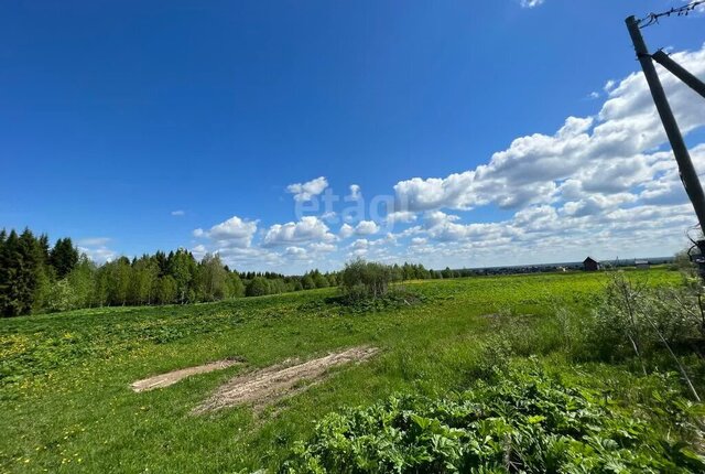 земля муниципальное образование Выльгорт фото