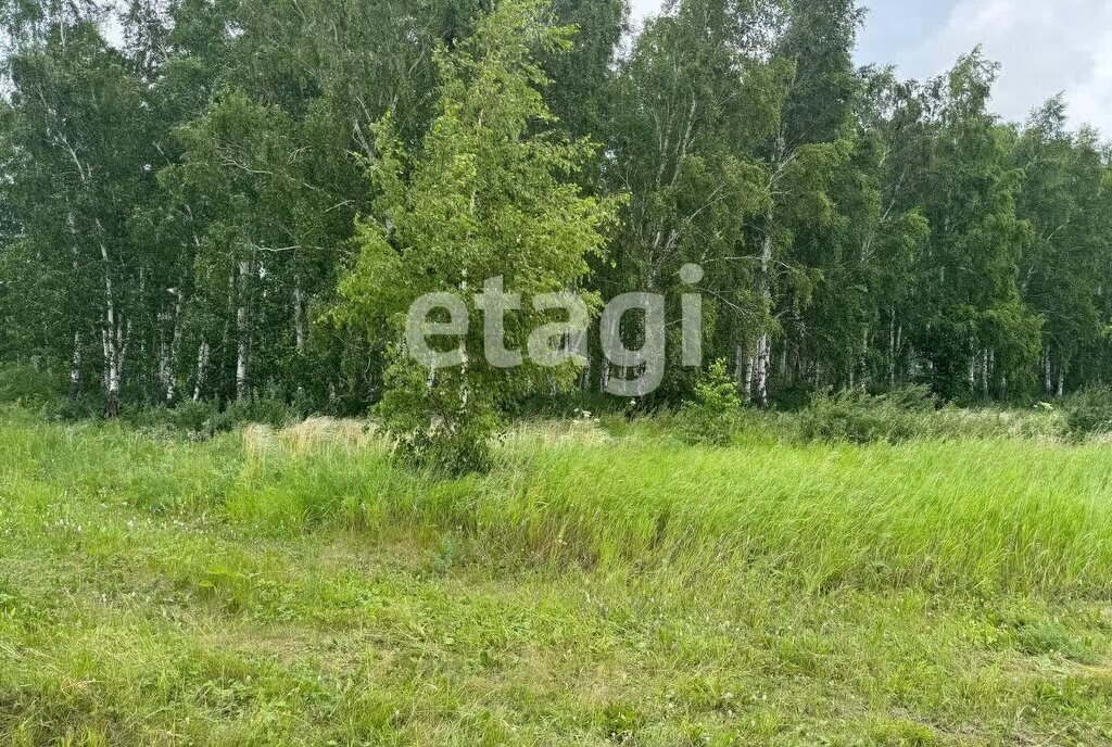 земля р-н Емельяновский с Дрокино сельсовет, Солонцовский фото 9