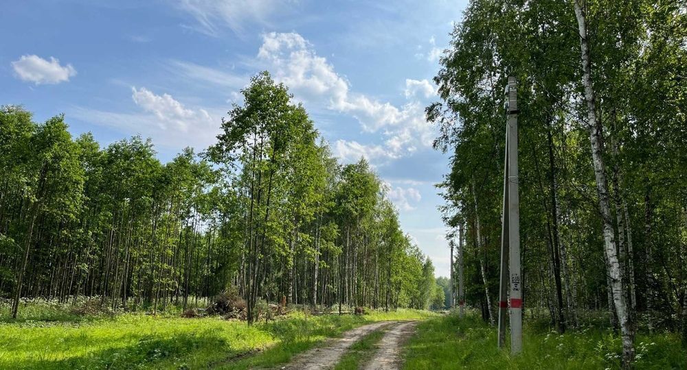 земля городской округ Павловский Посад 46 км, пос. Большое Субботино, Носовихинское шоссе фото 4