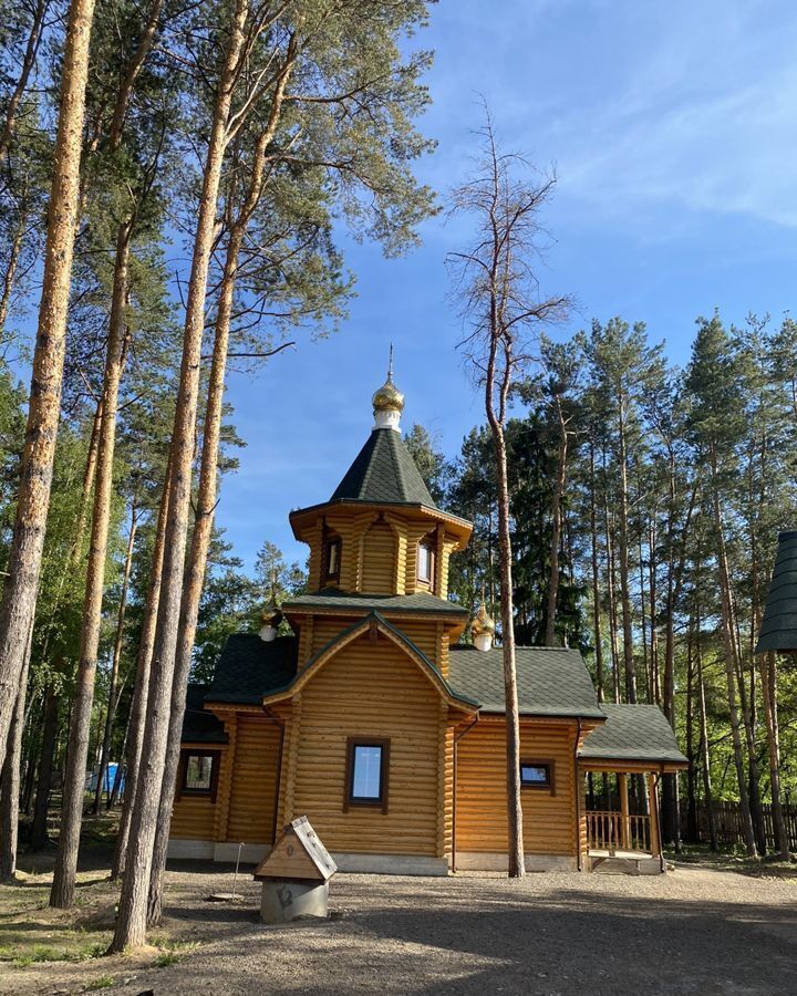 квартира городской округ Ленинский рп Дрожжино ул Южная 16к/1 Улица Скобелевская, Воскресенское фото 23