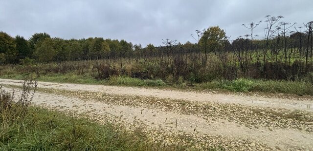 д Овинцево ул Парковая Большеврудское сельское поселение фото