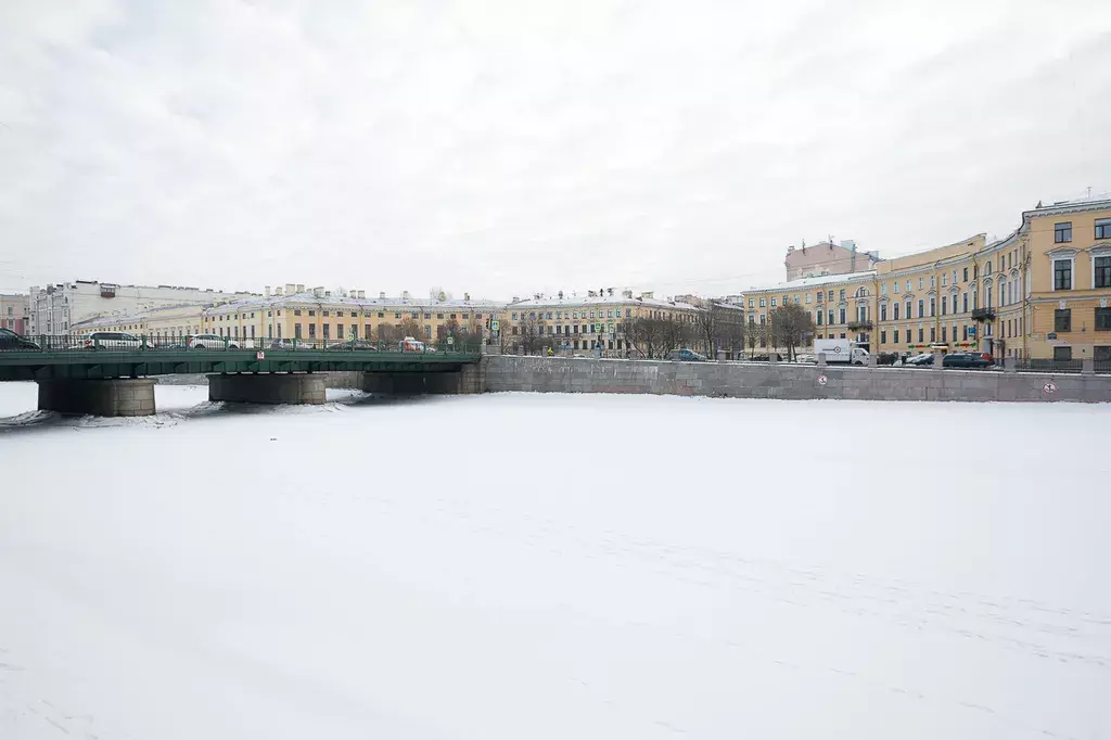 квартира г Санкт-Петербург метро Пушкинская наб Реки Фонтанки 92б Ленинградская область фото 37