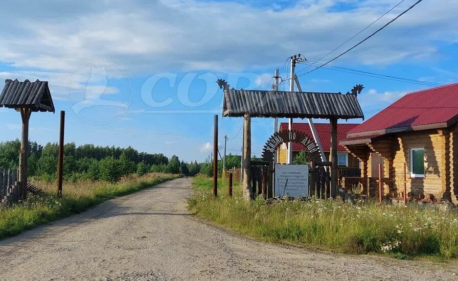 земля г Тюмень тер дачное некоммерческое товарищество Березка Подушкино, село Каменка фото 5