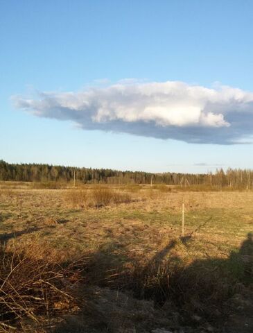 земля д Сопки фото