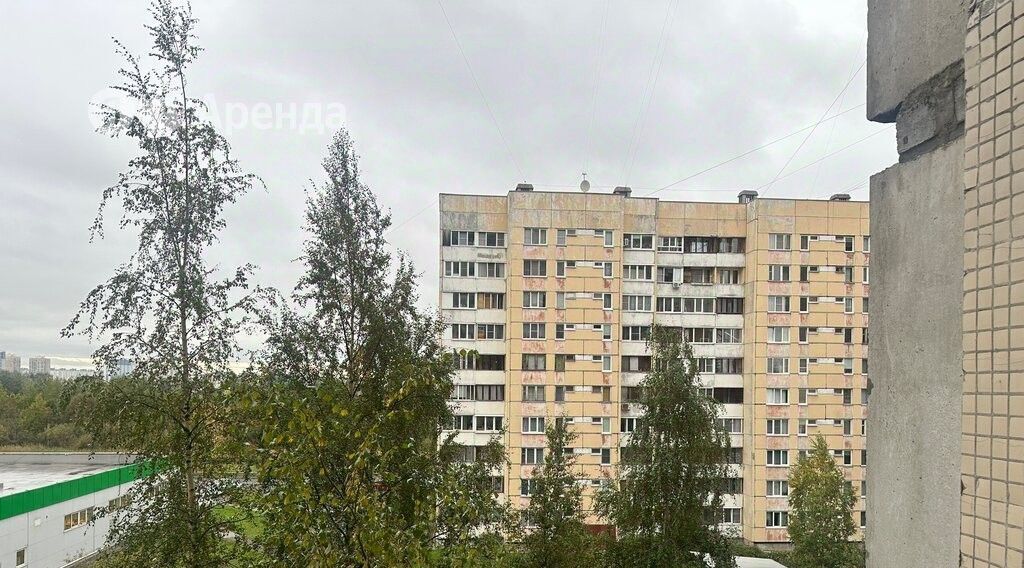 квартира г Санкт-Петербург ул Савушкина 115к/3 Старая Деревня фото 20