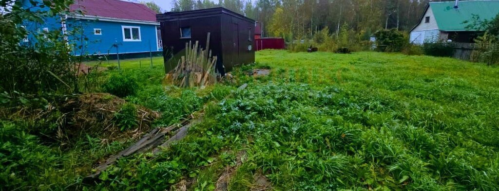 земля р-н Кировский снт Липки Синявинское городское поселение, 5-я линия, 96 фото 5