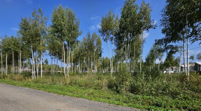 земля городской округ Дмитровский д Базарово Хлебниково фото