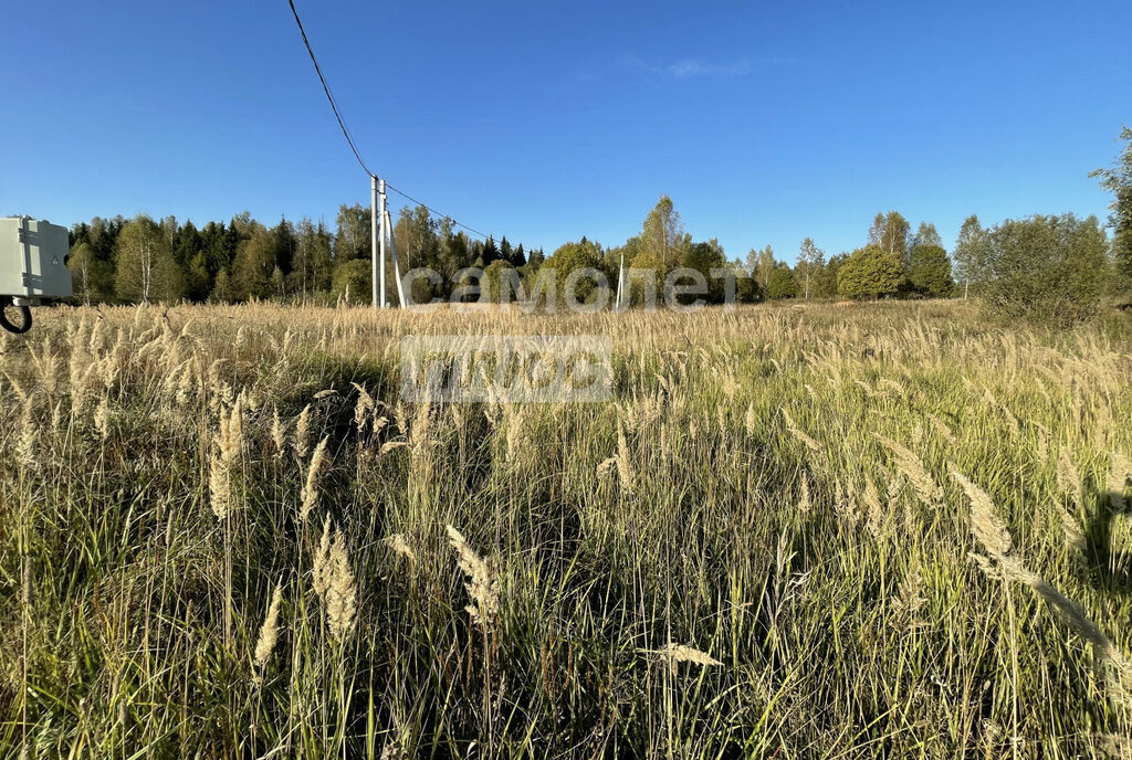 земля городской округ Солнечногорск д Хоругвино Зеленоград — Крюково фото 1