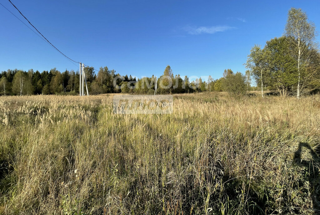 земля городской округ Солнечногорск д Хоругвино Зеленоград — Крюково фото 2