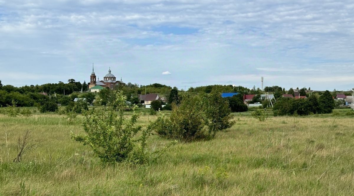 земля р-н Тамбовский с Селезни ул Центральная фото 4