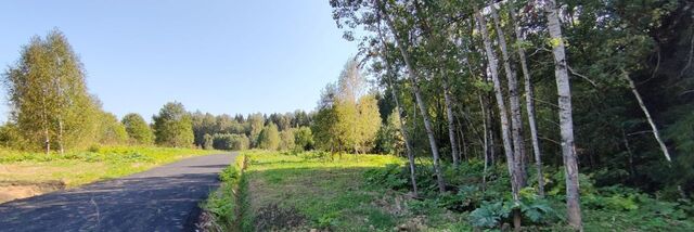 городской округ Сергиево-Посадский с Бужаниново фото