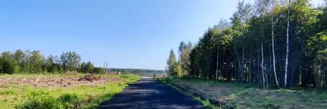 городской округ Сергиево-Посадский с Бужаниново фото