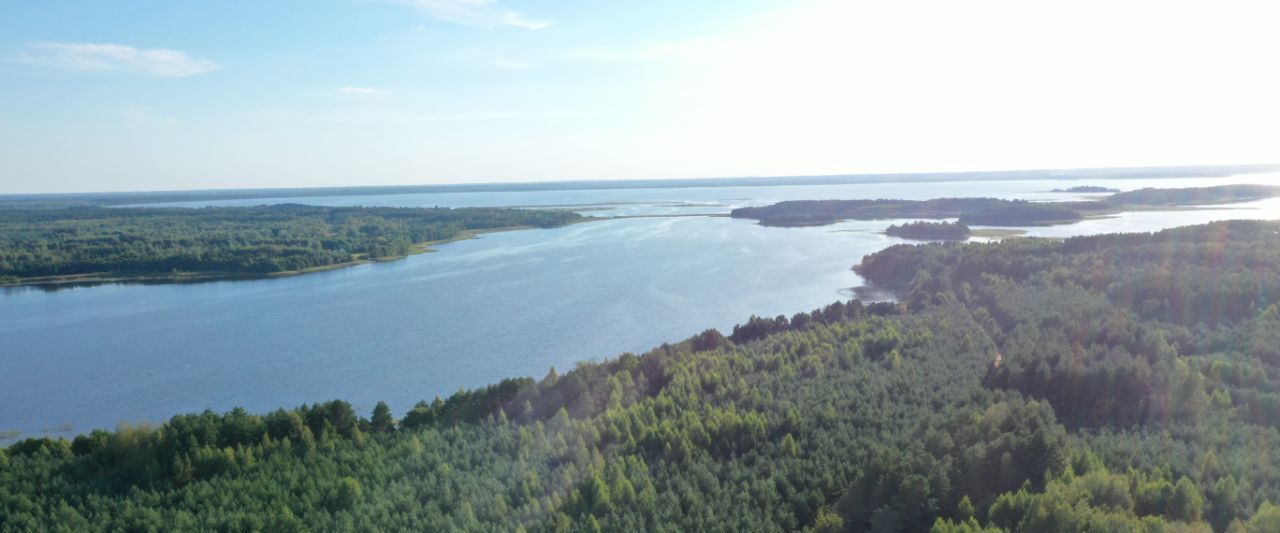 земля р-н Куньинский д Подколодье Жижицкая волость фото 4