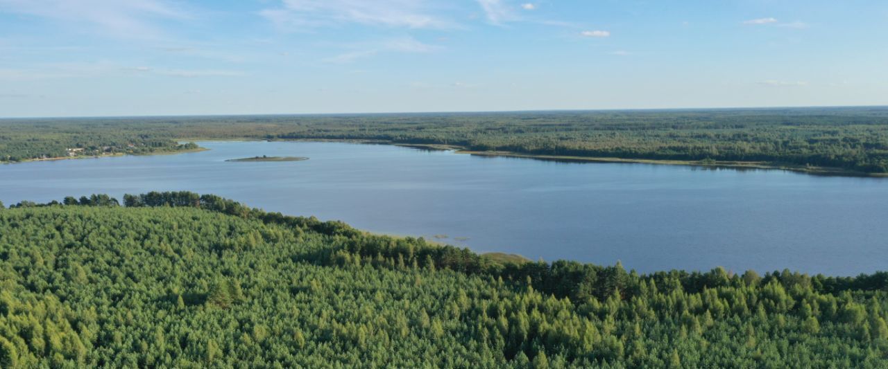 земля р-н Куньинский д Подколодье Жижицкая волость фото 5