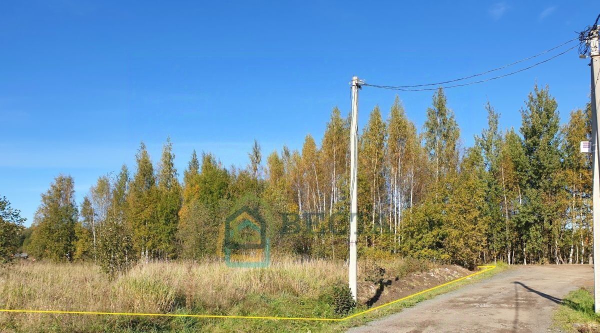 земля р-н Ломоносовский снт Виктория Бугровское городское поселение, Парнас, ул. Новая, Всеволожский район фото 4