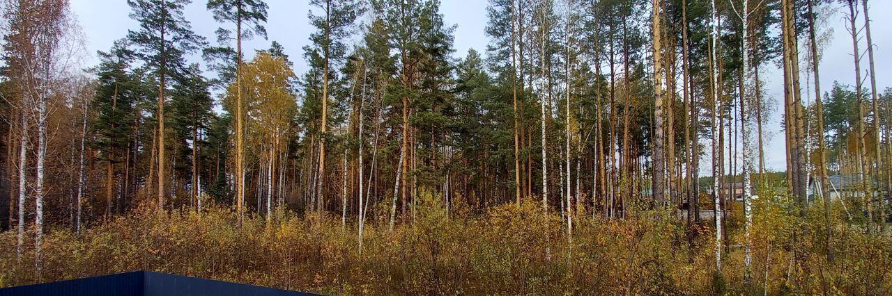 дом р-н Сысертский тер. ДНТ Клевер ул Лесная фото 4