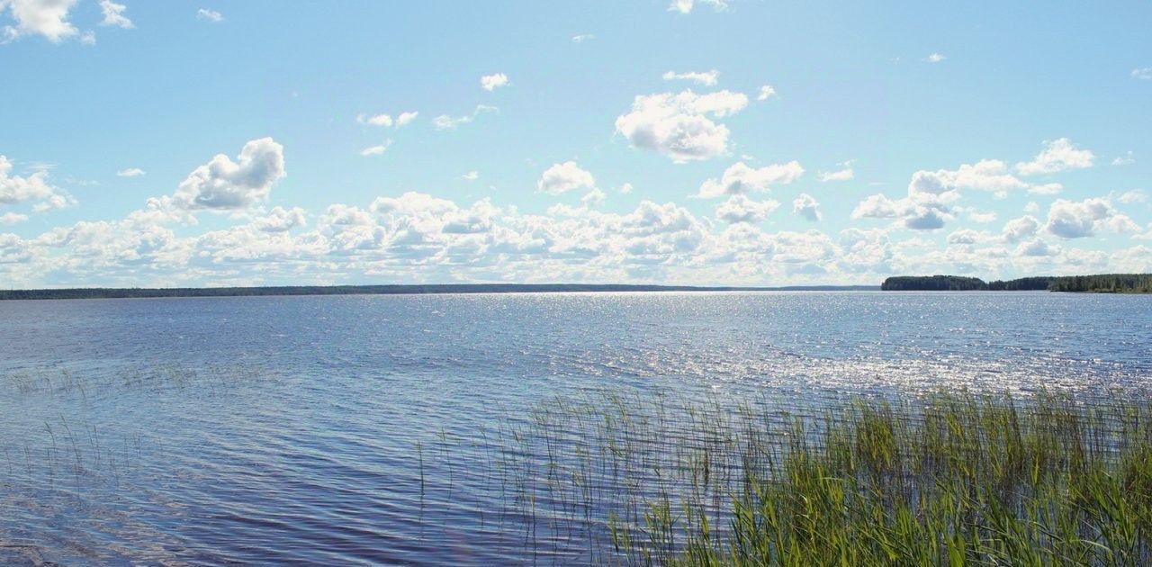 дом р-н Выборгский Советское городское поселение, пос. При железнодорожной станции Матросово, ул. Тихая, 11 фото 34