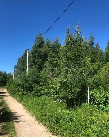 ул Лесная Дорога жизни, 9749 км, Рахьинское городское поселение, СНТ Ладожское фото